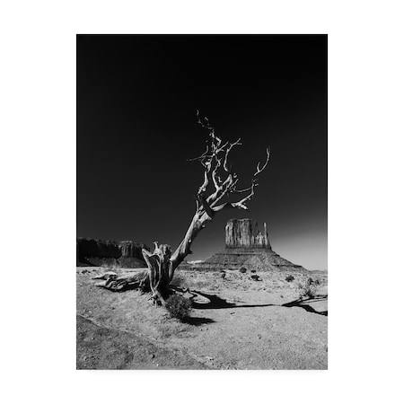 Vinicio Triglia 'Monument Desert' Canvas Art,14x19